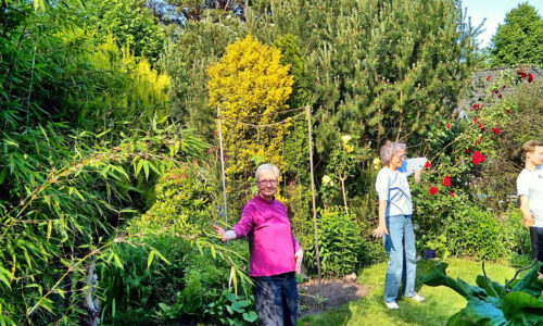 Qi Gong Kurs Gitta Lütjens Hamburg